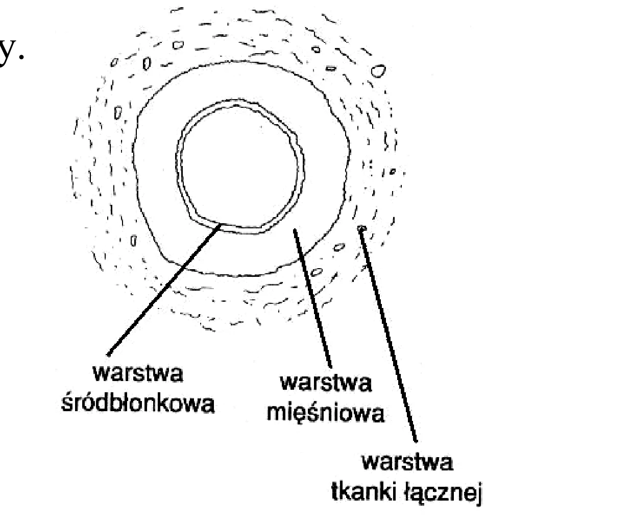 Rysunek 1 do zadania