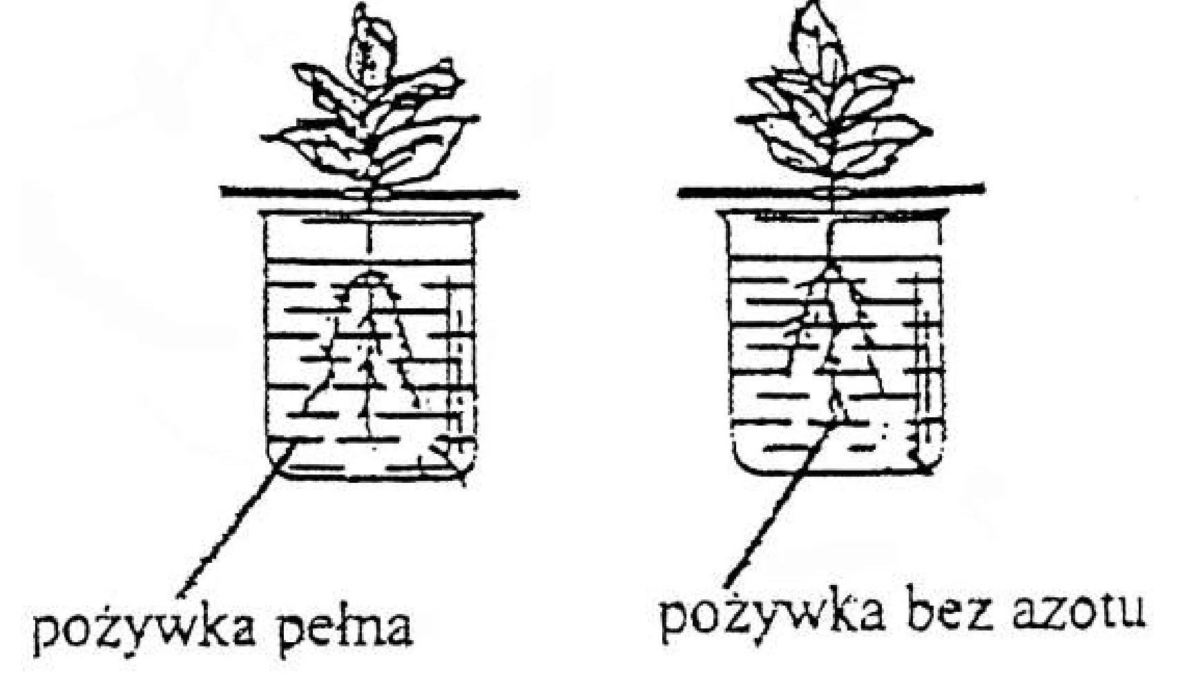 Rysunek 1 do zadania
