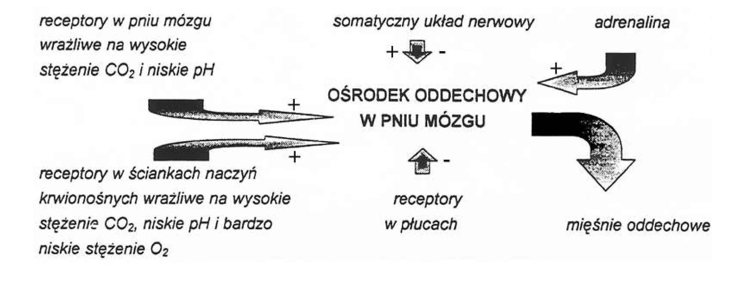 Rysunek 1 do zadania