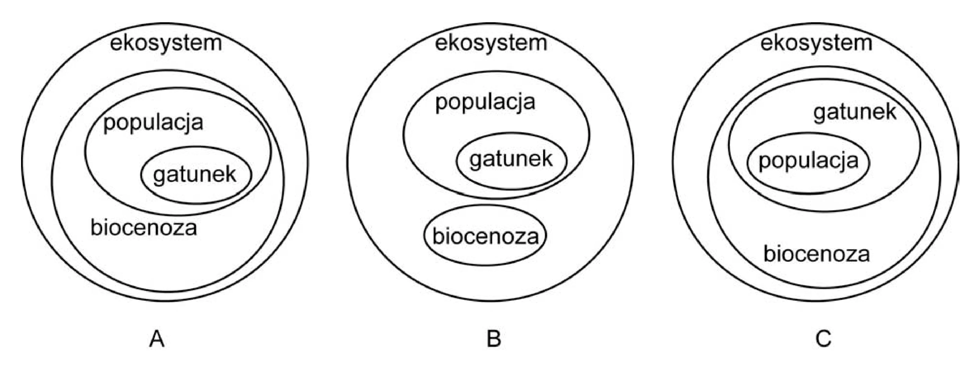 Rysunek 1 do zadania