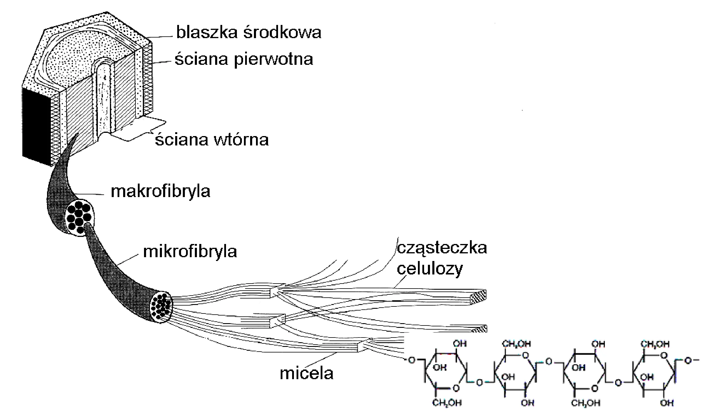 Rysunek 1 do zadania