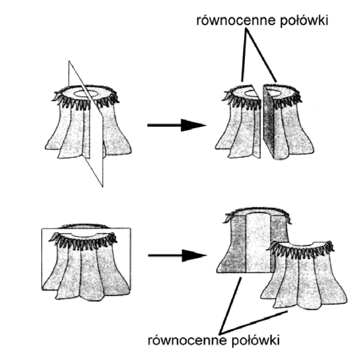 Rysunek 1 do zadania