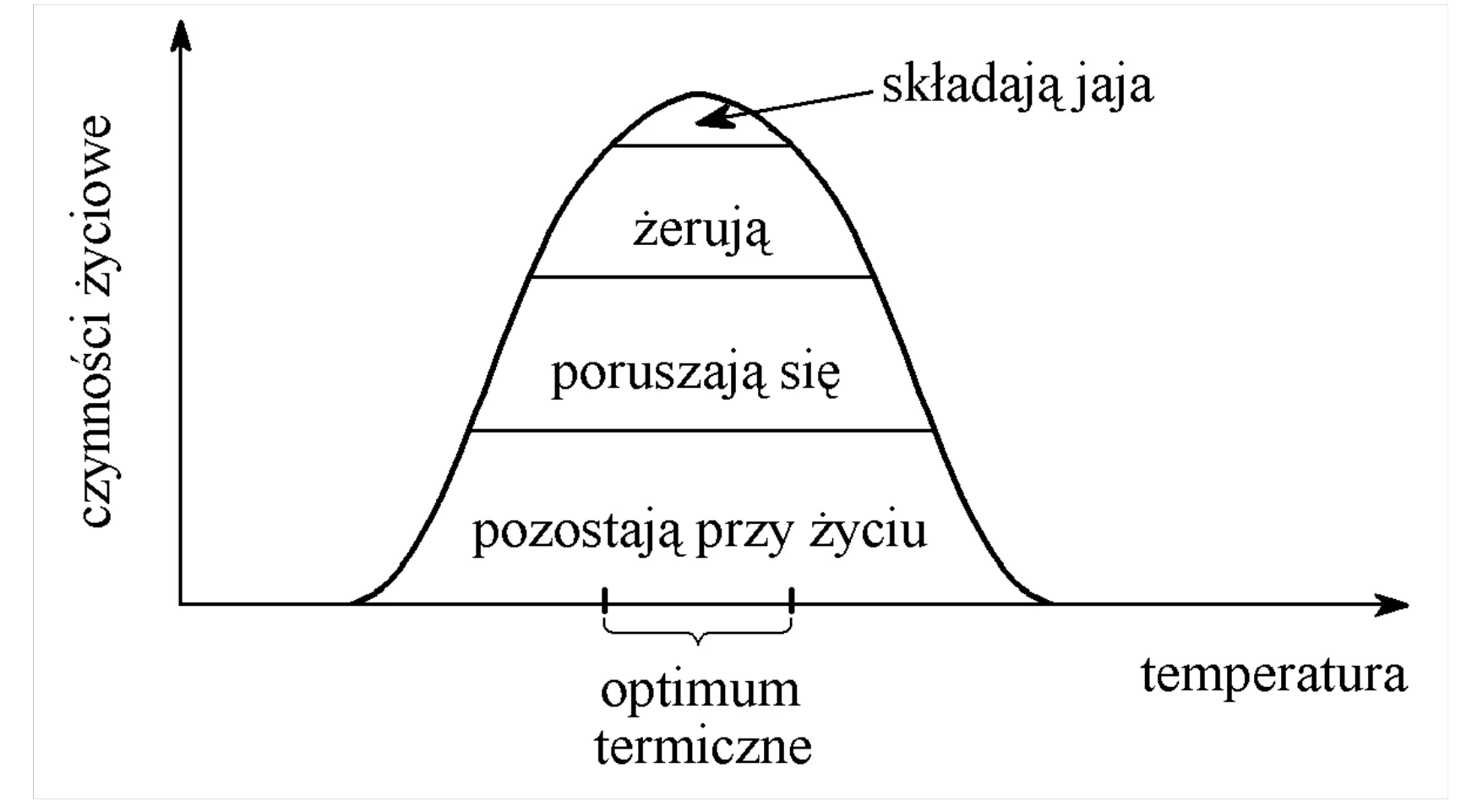 Rysunek 1 do zadania