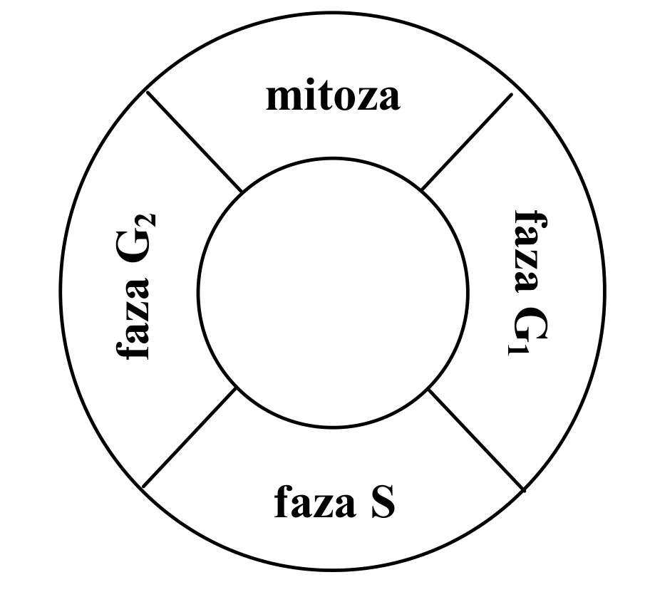 Rysunek 1 do zadania