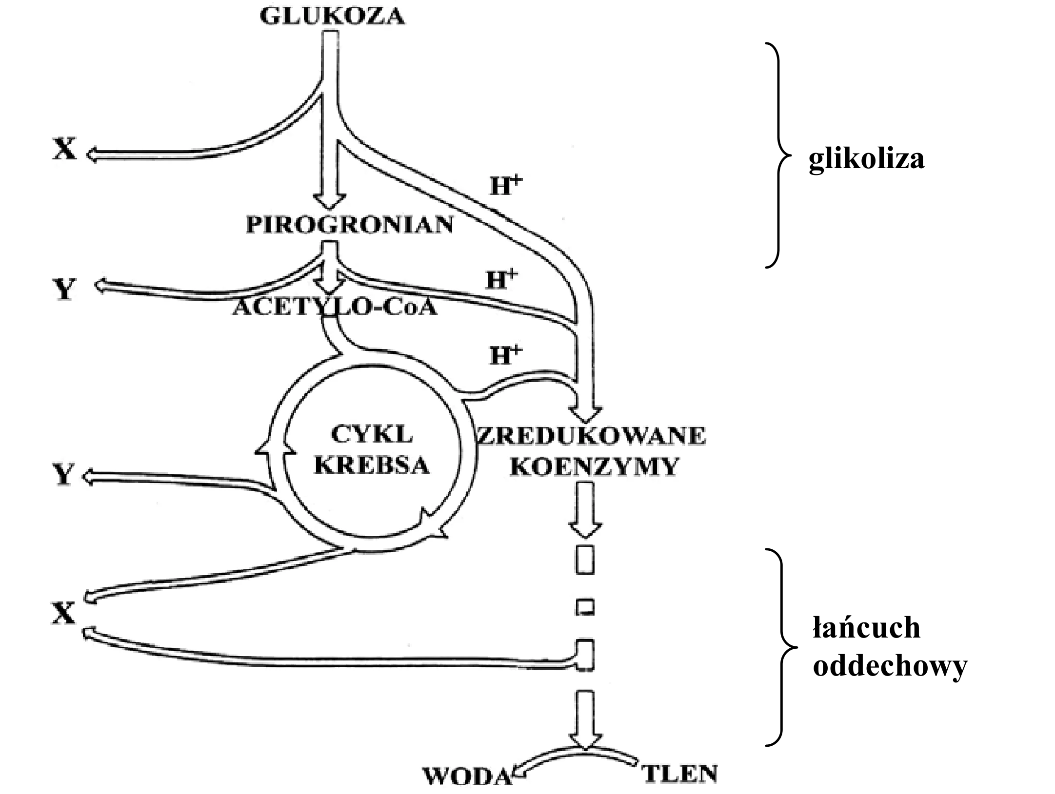 Rysunek 1 do zadania