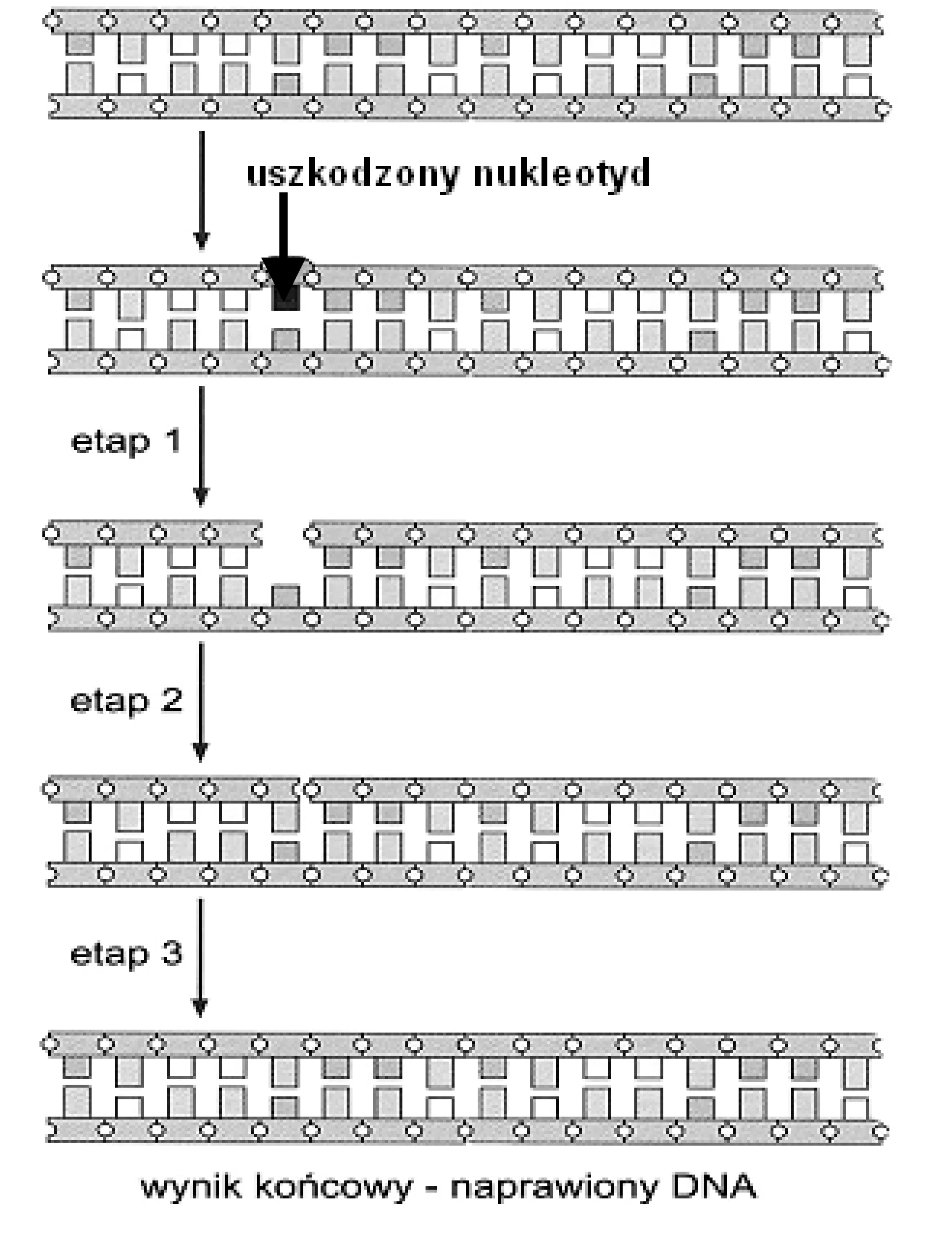 Rysunek 1 do zadania
