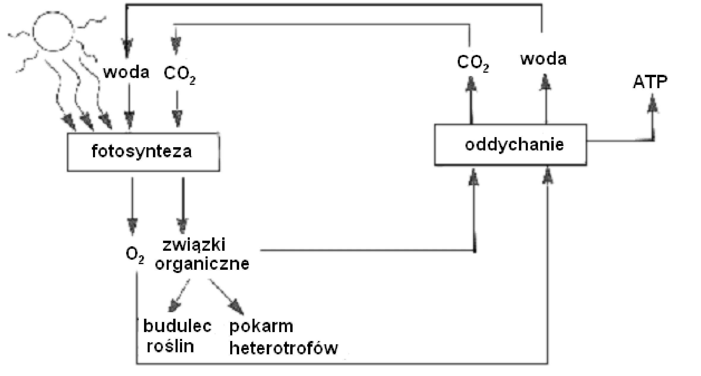 Rysunek 1 do zadania