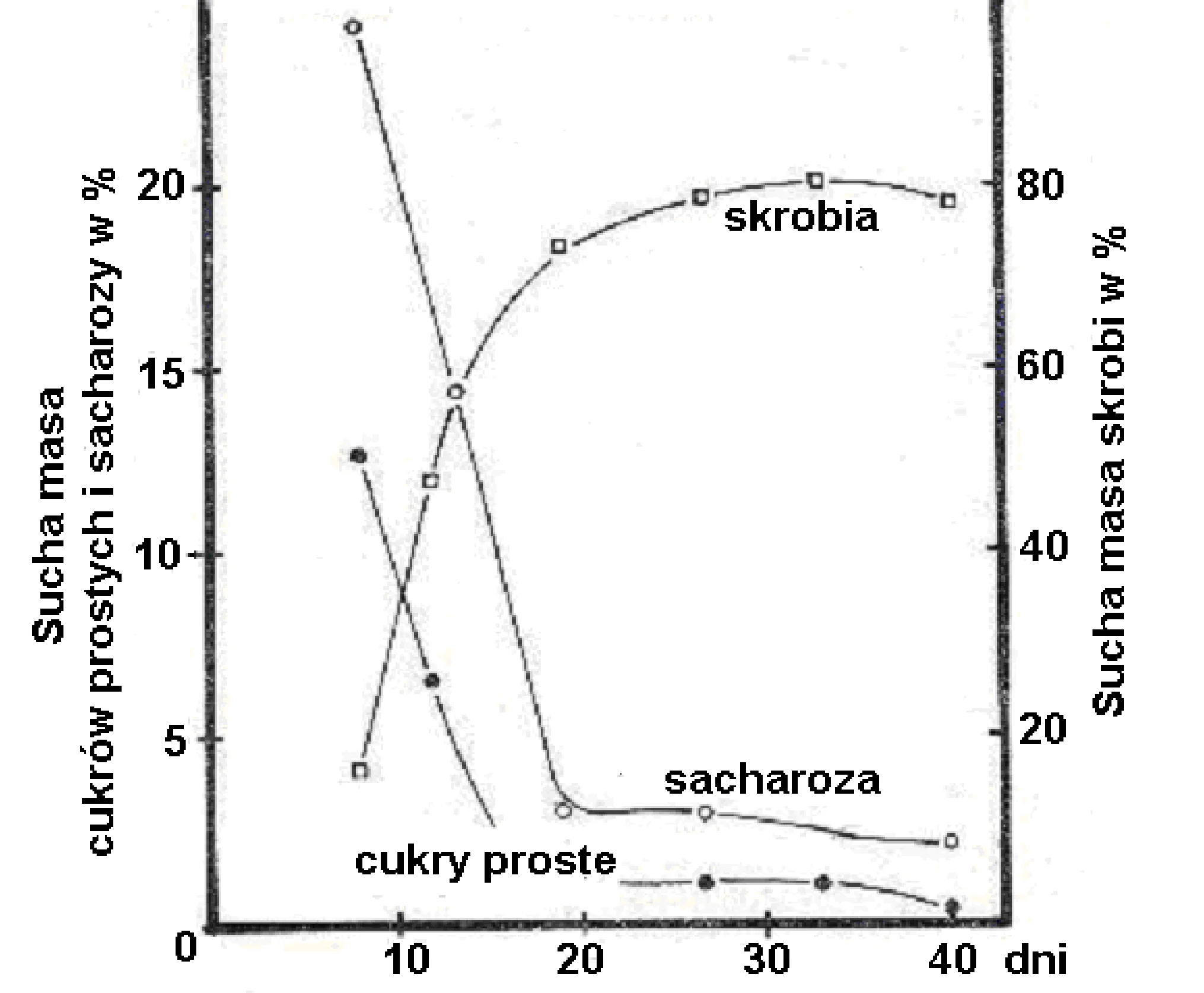 Rysunek 1 do zadania