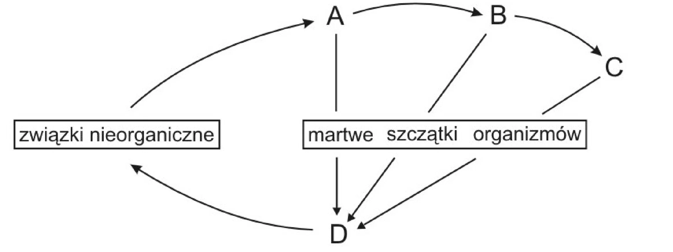 Rysunek 1 do zadania