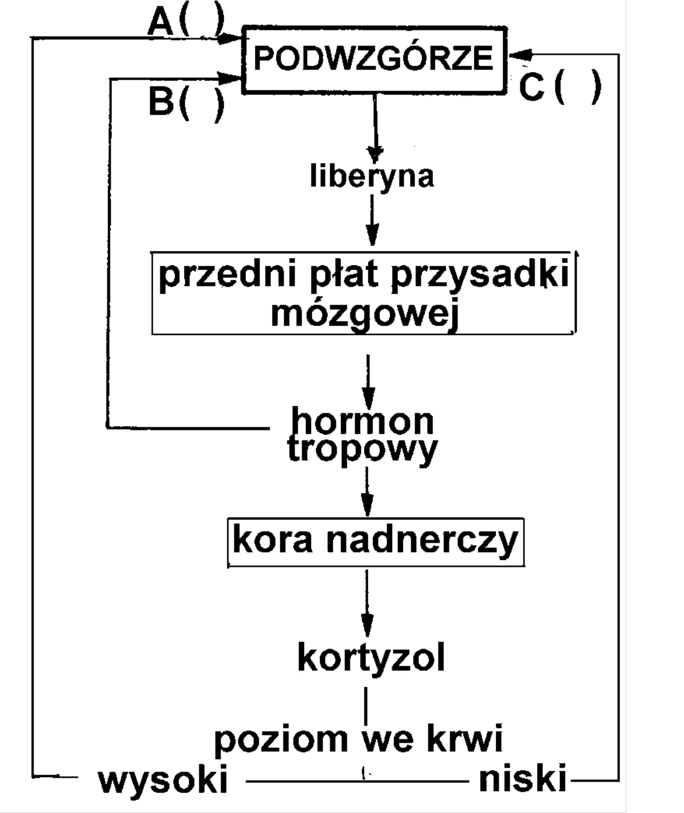 Rysunek 1 do zadania