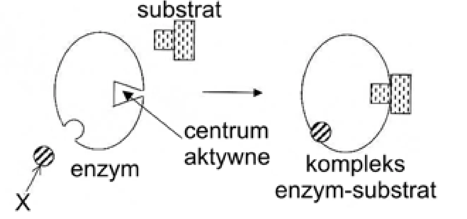 Rysunek 1 do zadania