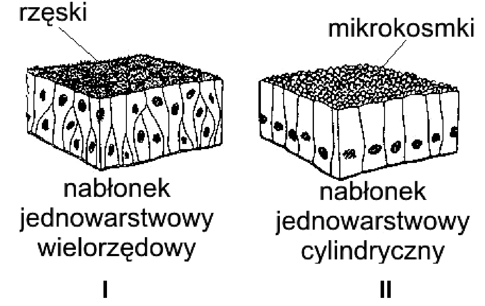 Rysunek 1 do zadania