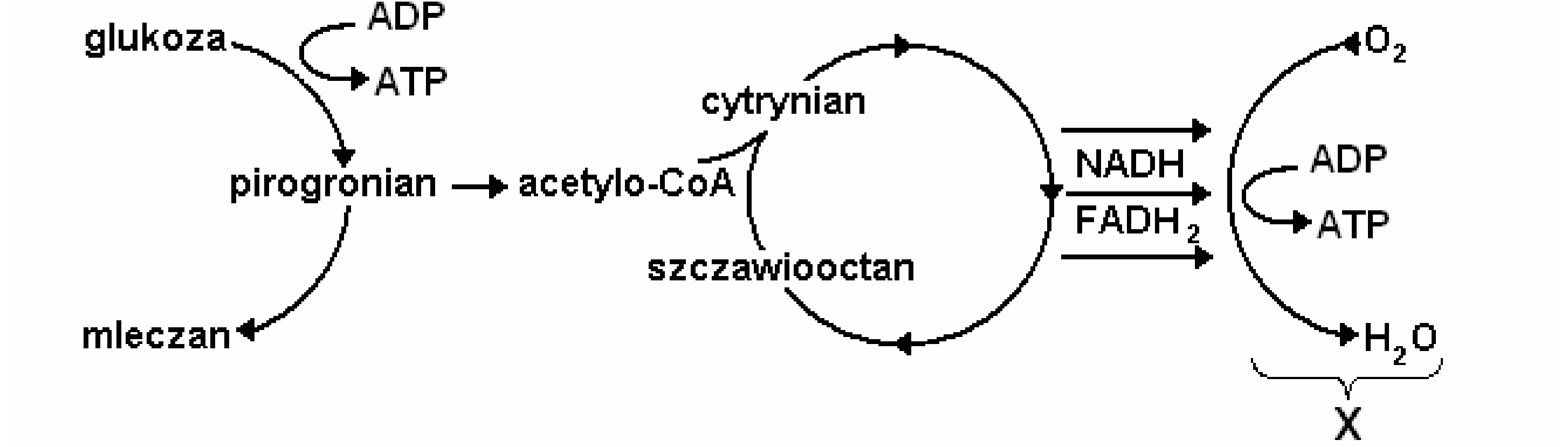 Rysunek 1 do zadania