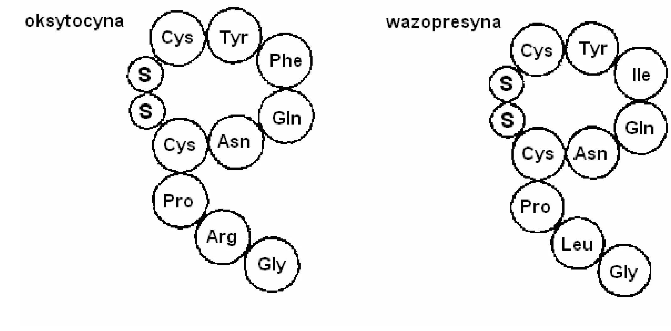 Rysunek 1 do zadania