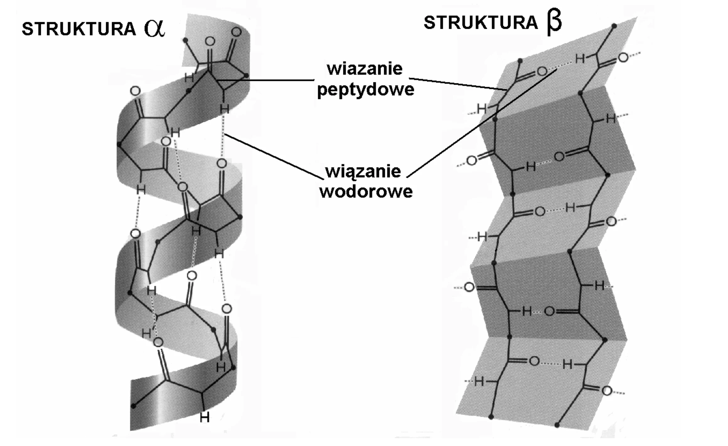 Rysunek 1 do zadania