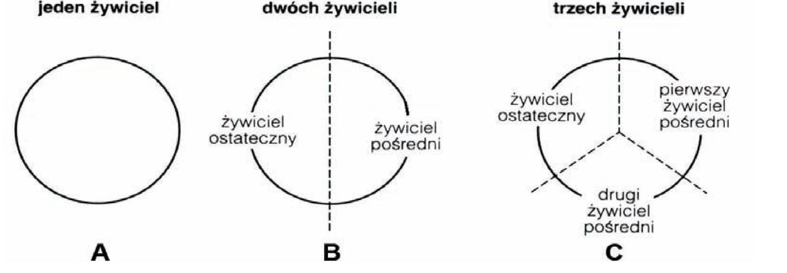 Rysunek 1 do zadania