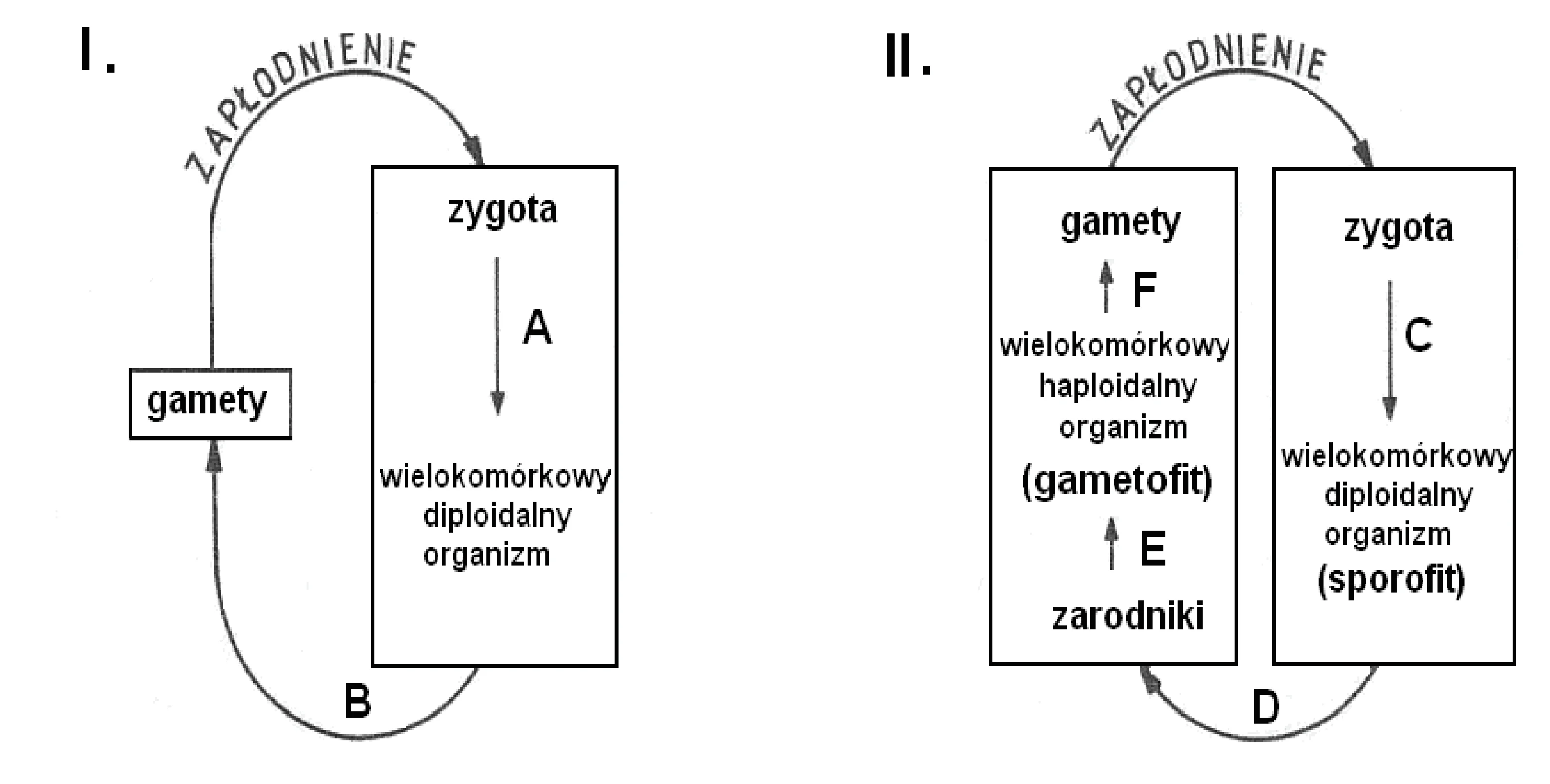Rysunek 1 do zadania