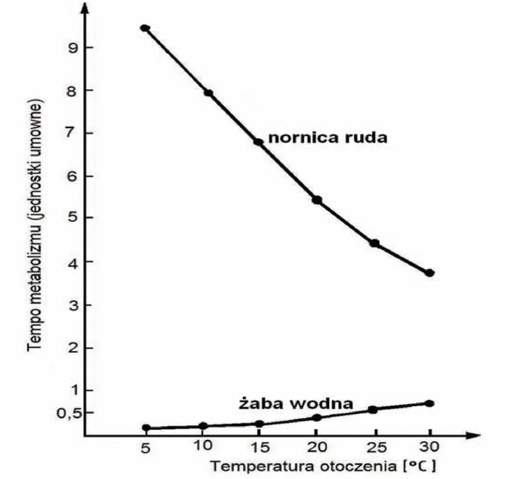 Rysunek 1 do zadania