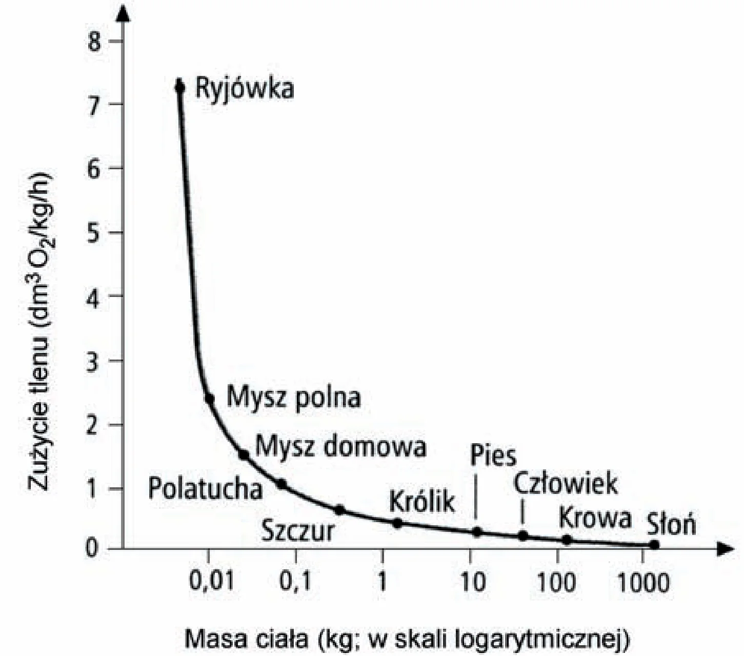 Rysunek 1 do zadania