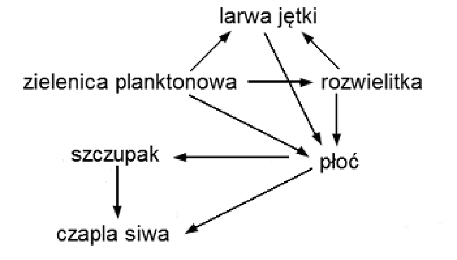 Rysunek 1 do zadania