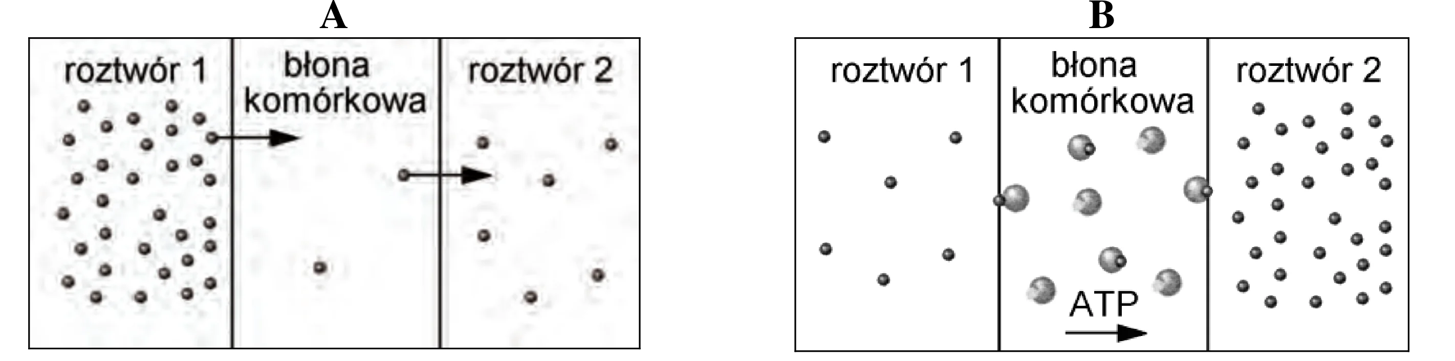Rysunek 1 do zadania