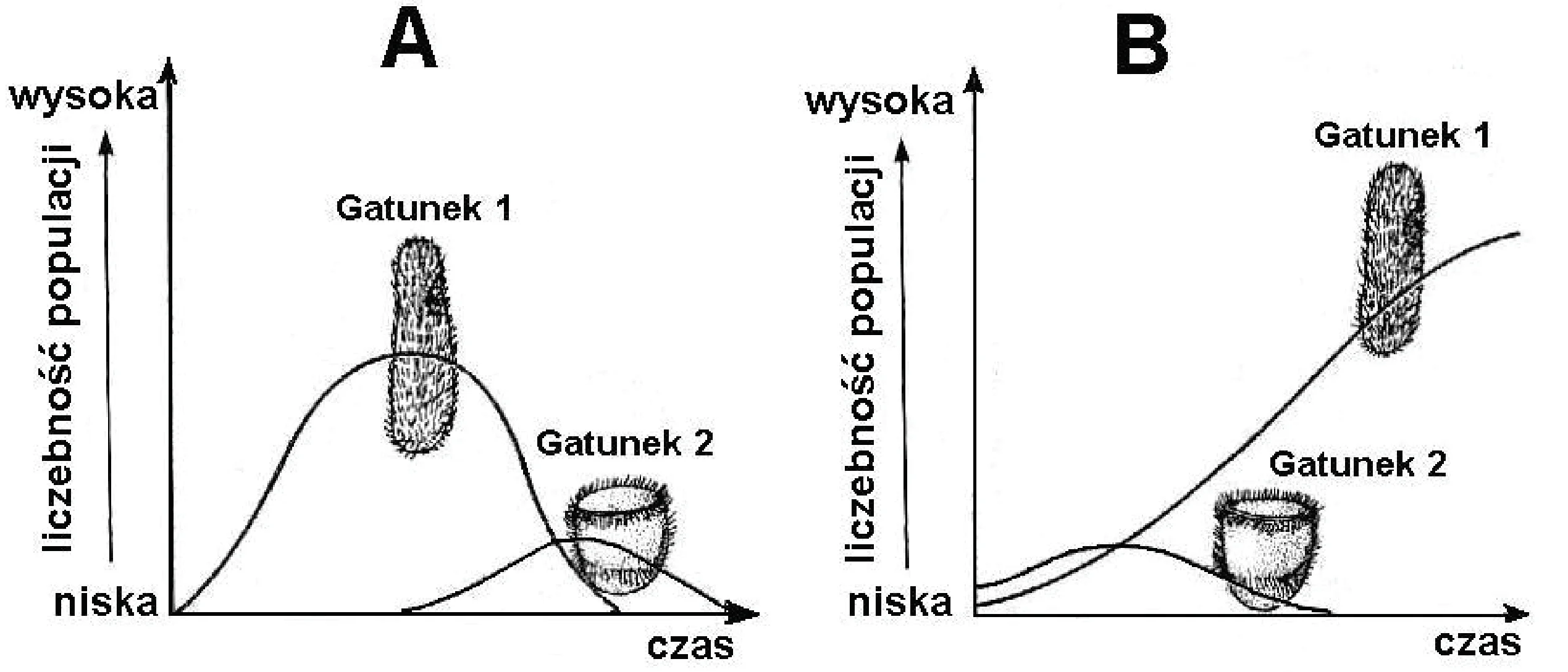 Rysunek 1 do zadania