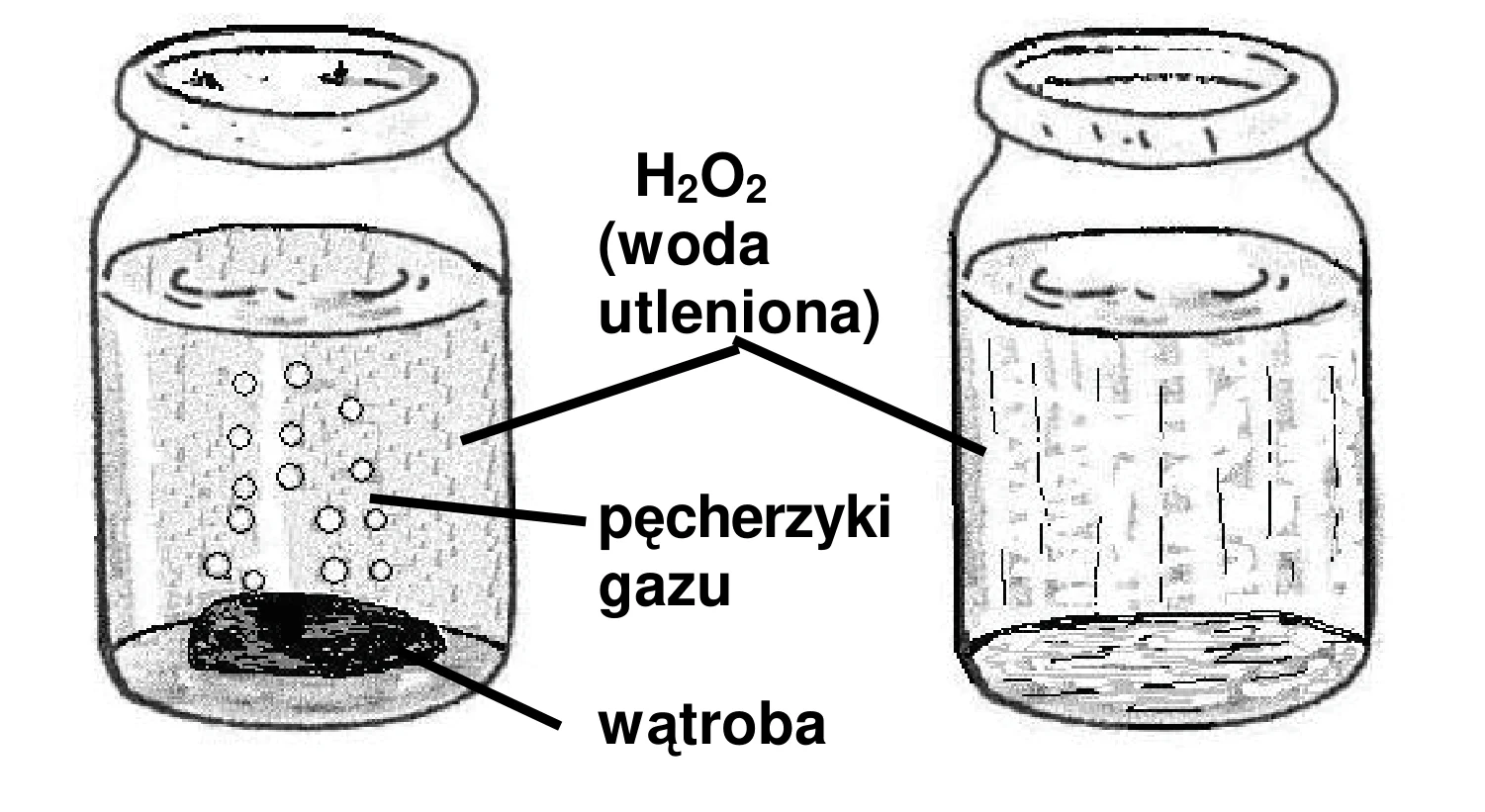 Rysunek 1 do zadania