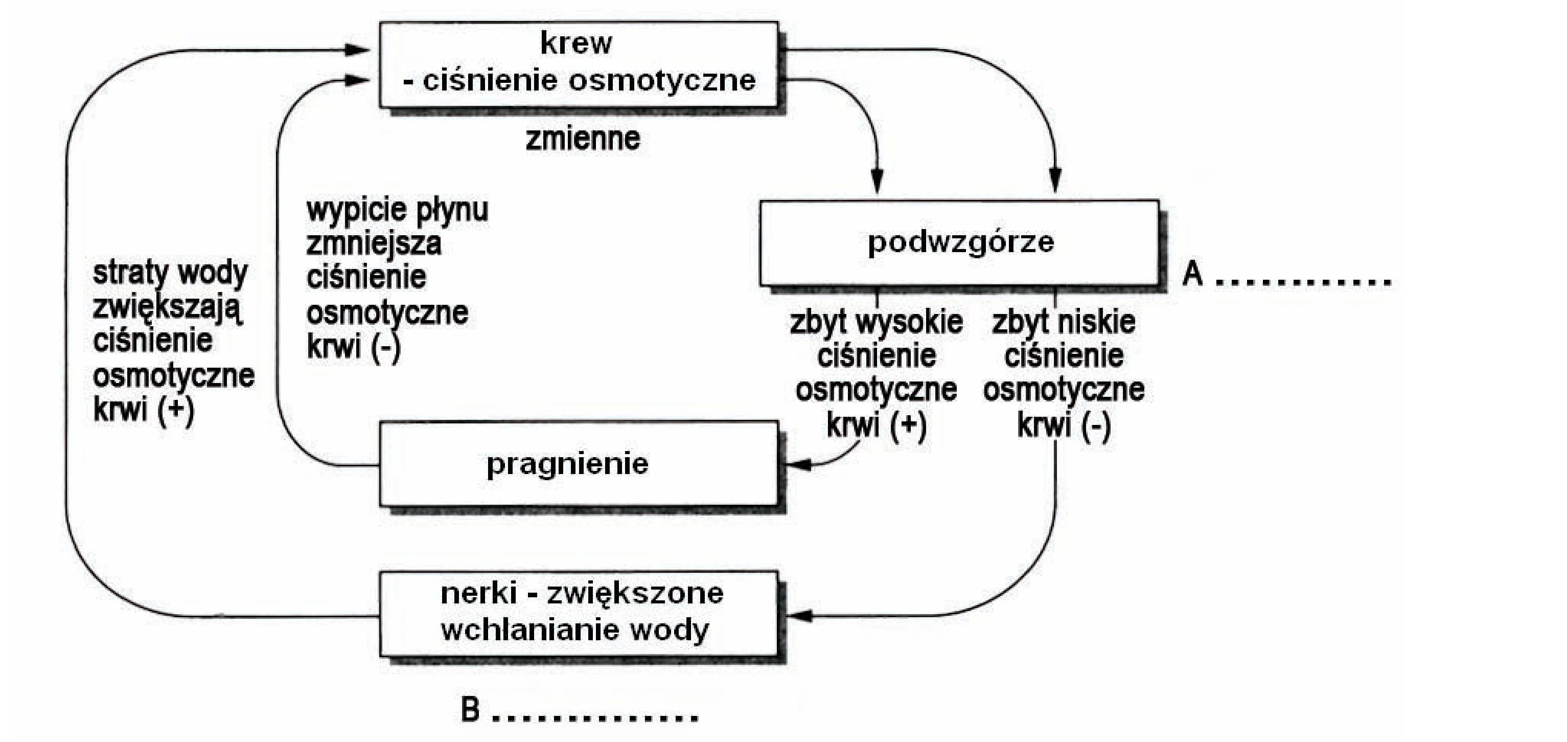 Rysunek 1 do zadania