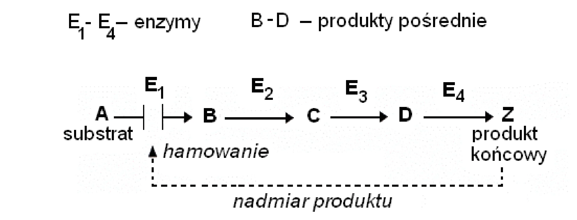 Rysunek 1 do zadania