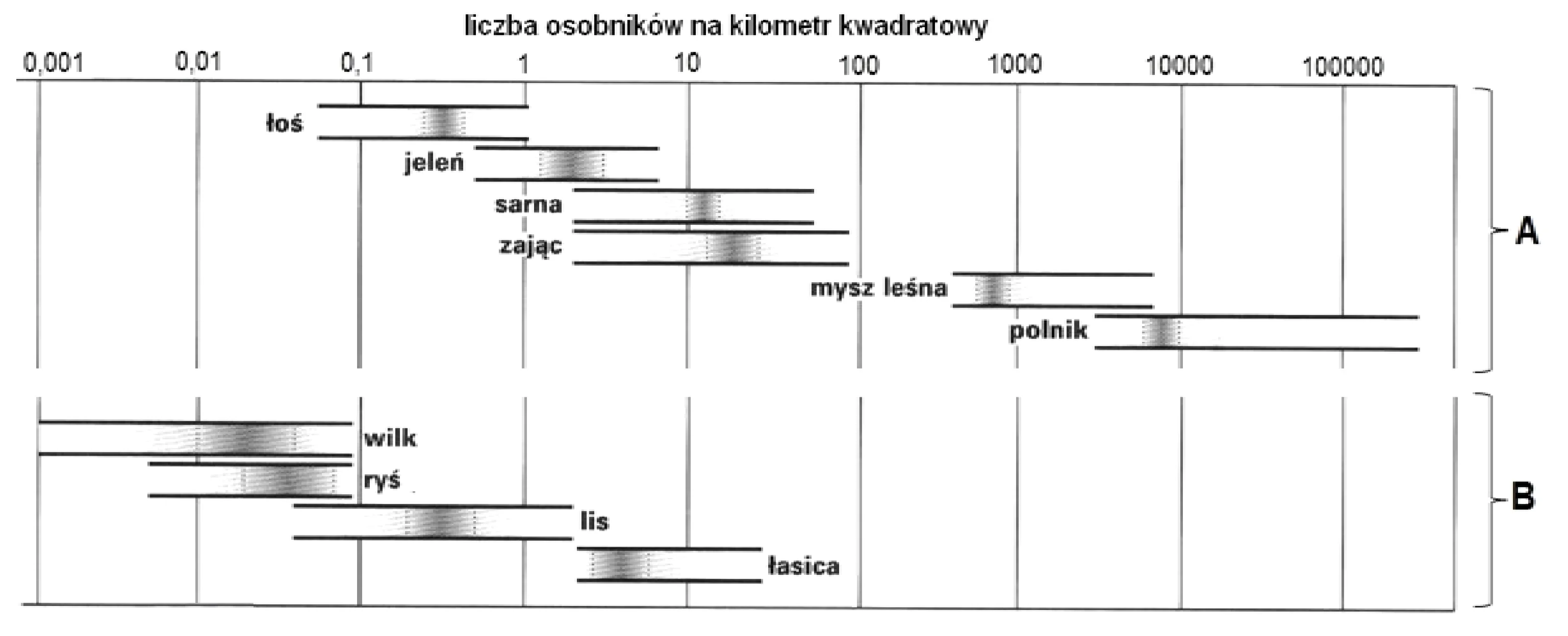 Diagram z poziomymi paskami pokazuje zakresy zmian zagęszczenia (długość paska) i średnie zagęszczenia (ściemniony fragment) dziesięciu gatunków leśnych ssaków, na logarytmicznej osi liczby osobników na kilometr kwadratowy od 0.001 do 100000.