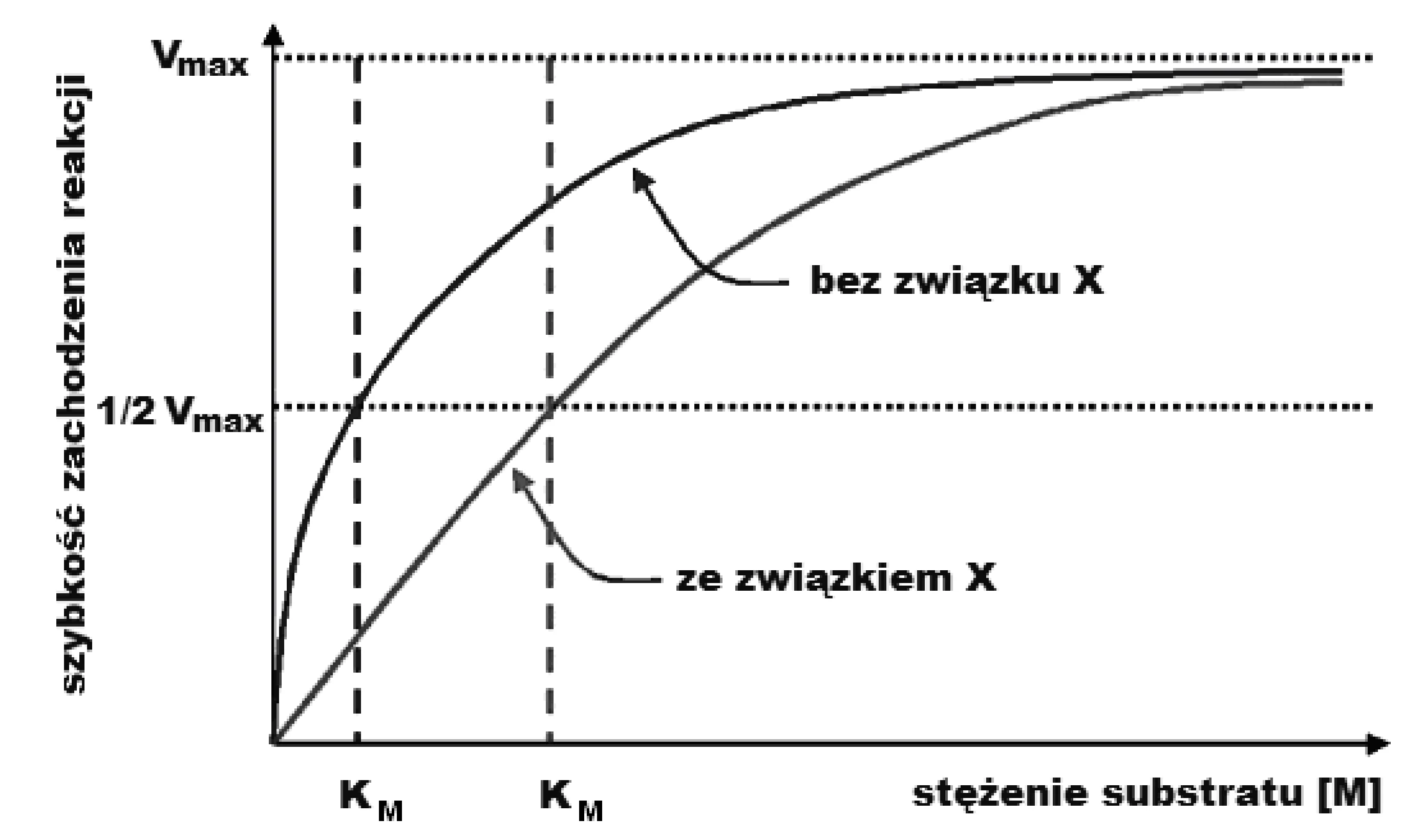 Wykres zależności szybkości reakcji (oś pionowa, wartości Vmax i 1/2 Vmax) od stężenia substratu (oś pozioma, wartości KM). Górna krzywa, "bez związku X", osiąga 1/2 Vmax przy niższej stałej Michaelisa-Menten KM niż dolna krzywa, "ze związkiem X".
