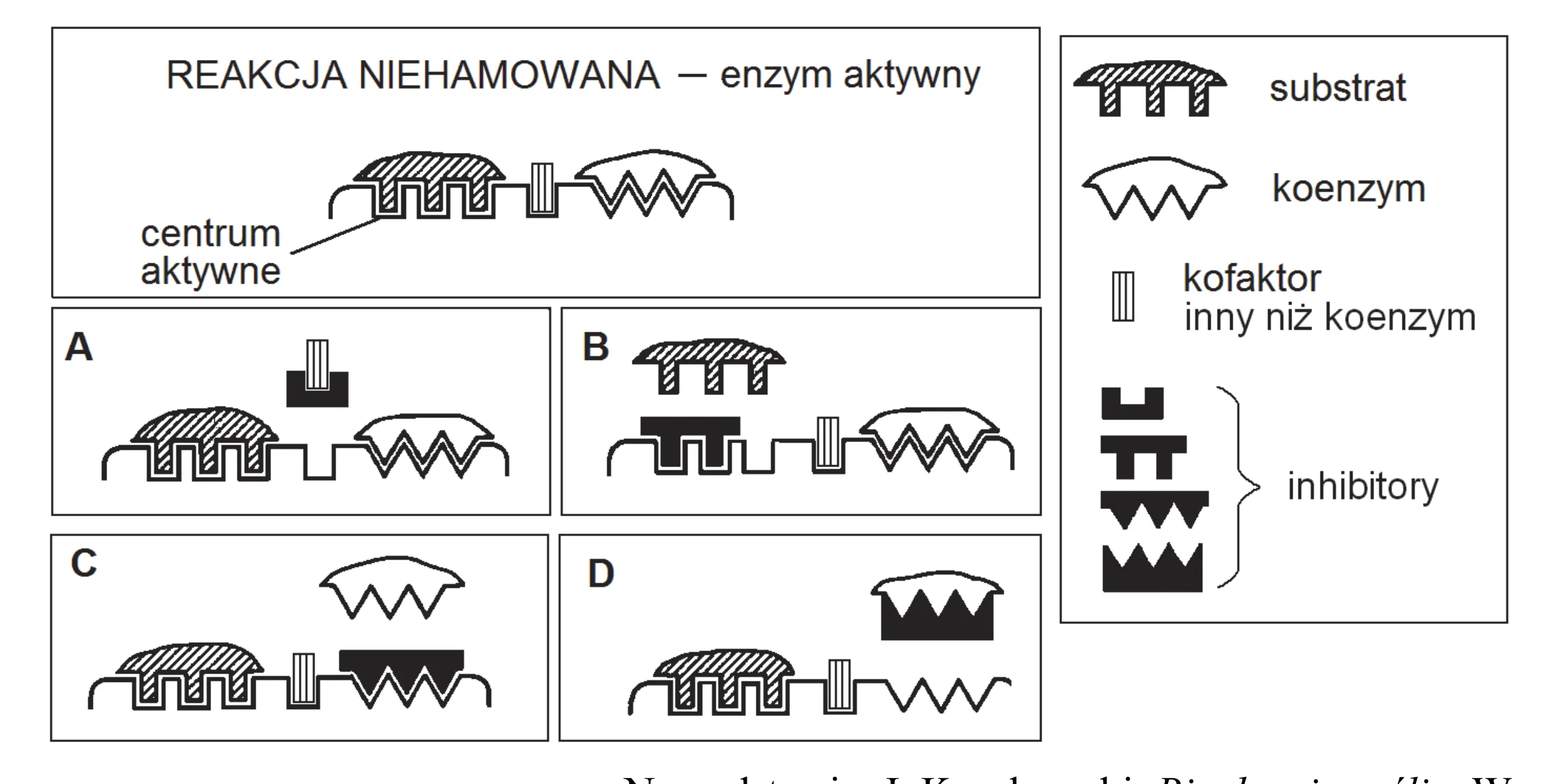 Rysunek 1 do zadania