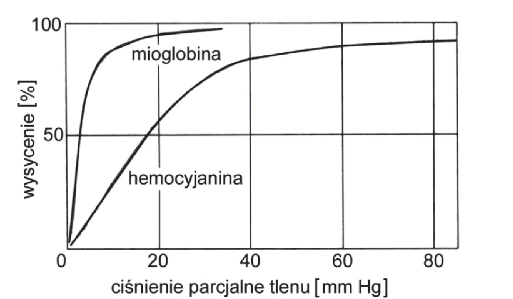 Wykres przedstawia dwie krzywe dysocjacji, mioglobiny i hemocyjaniny, na siatce współrzędnych, gdzie oś X to ciśnienie parcjalne tlenu od 0 do 80 mm Hg, a oś Y to wysycenie od 0 do 100 procent. Krzywa mioglobiny jest hiperboliczna, a krzywa hemocyjaniny sigmoidalna, osiągająca 50 procent wysycenia przy około 20 mm Hg.