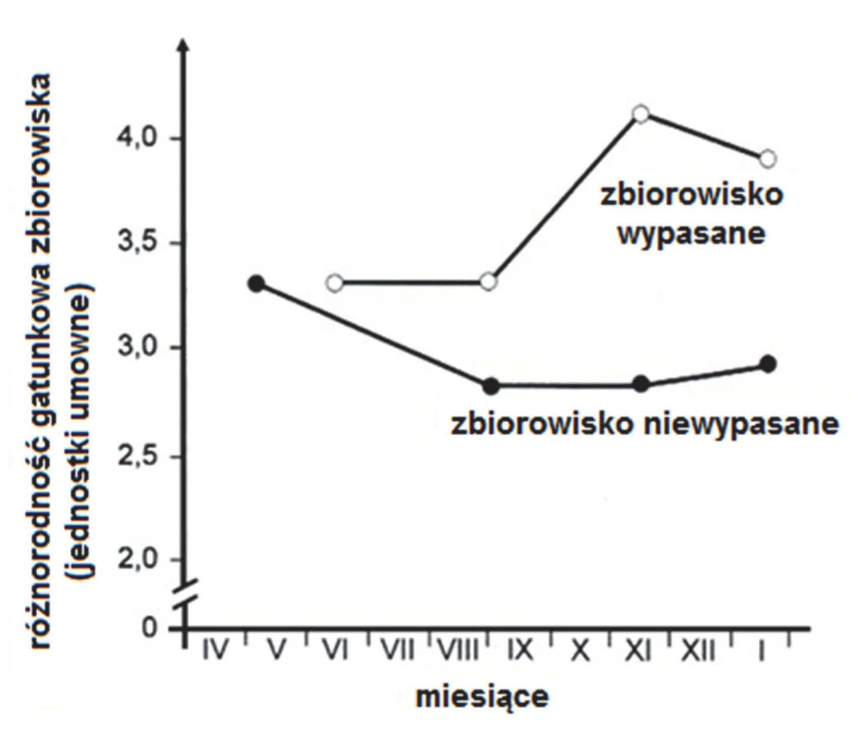 Wykres liniowy przedstawia różnorodność gatunkową (jednostki umowne) dla zbiorowisk wypasanych (linia z pustymi kółkami) i niewypasanych (linia z czarnymi kropkami) w miesiącach od kwietnia do stycznia. Różnorodność zbiorowisk wypasanych wzrosła z 3.3 w czerwcu do 4.1 w listopadzie, a następnie lekko spadła, podczas gdy dla niewypasanych malała z 3.3 w kwietniu do stabilnego poziomu 2.8 od sierpnia.