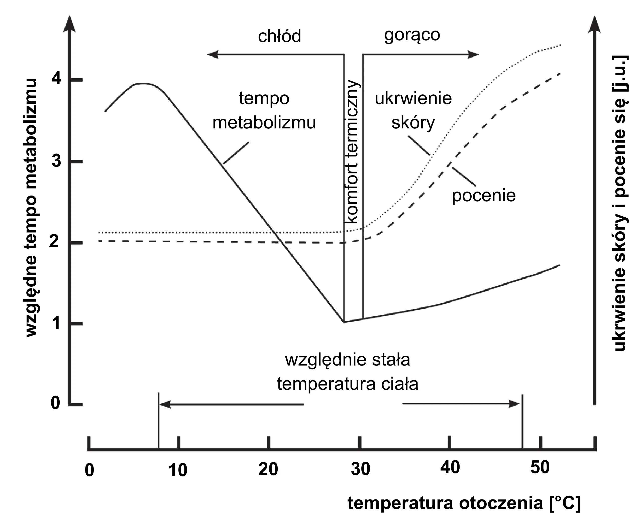 Wykres liniowy przedstawia względne tempo metabolizmu (linia ciągła, lewa oś Y) oraz ukrwienie skóry (linia kropkowana) i pocenie (linia przerywana) (prawa oś Y) w zależności od temperatury otoczenia (0-55 stopni Celsjusza). Tempo metabolizmu maleje od około 4 (0 stopni Celsjusza) do minimum około 1 (w komforcie termicznym 28.5-30.5 stopni Celsjusza), a potem rośnie, podczas gdy ukrwienie skóry i pocenie wzrastają gwałtownie od około 2 w zakresie gorąca (od 30.5 stopni Celsjusza).