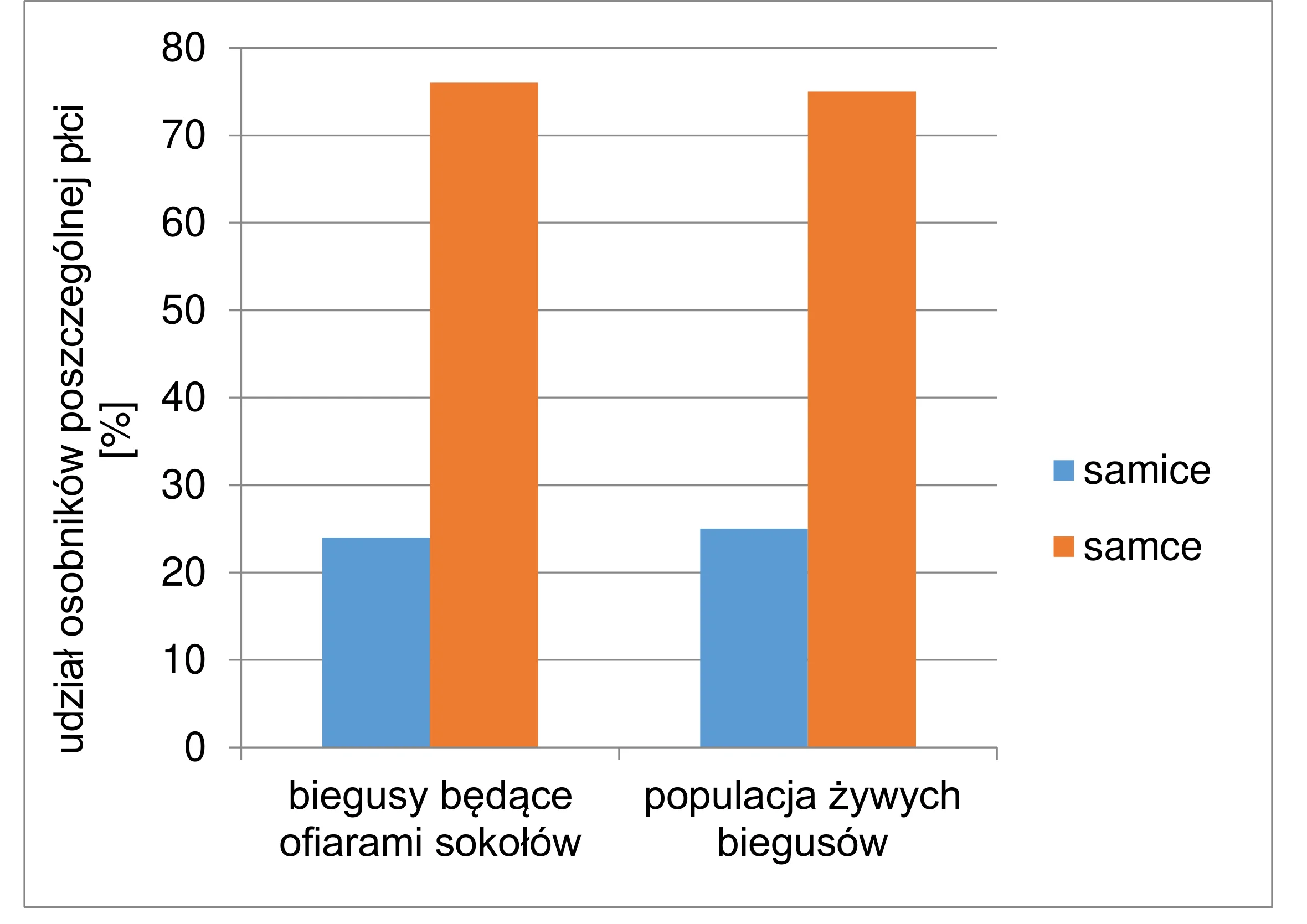 Wykres słupkowy przedstawia udział procentowy samic i samców biegusów w dwóch grupach: ofiar sokołów oraz populacji żywych ptaków. Wśród ofiar sokołów udział samic wynosi około 24%, samców około 76%, a w populacji żywych biegusów samice stanowią około 25%, samce około 75%.