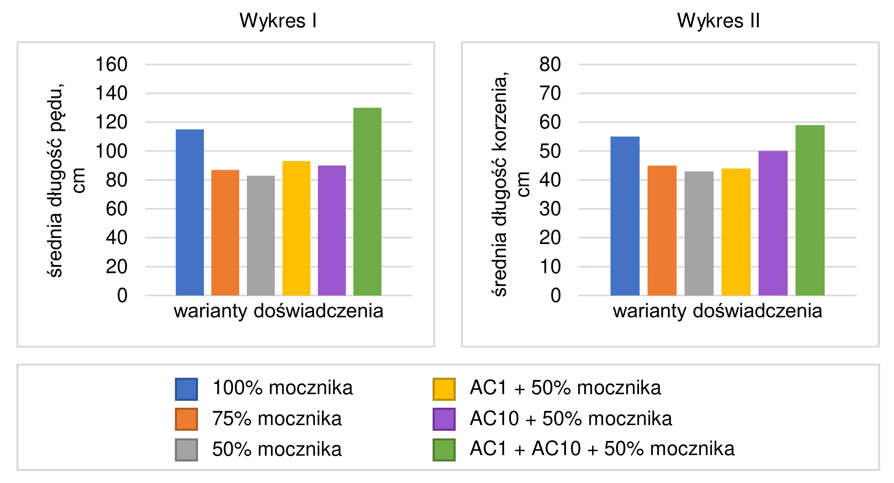 Dwa wykresy słupkowe porównujące średnią długość pędu (maksymalnie do 160 cm) i korzenia (maksymalnie do 80 cm) bawełny dla sześciu wariantów doświadczenia, gdzie najwyższe wartości osiągnięto dla kombinacji szczepów AC1 i AC10 z 50% dawką nawozu mocznikowego.