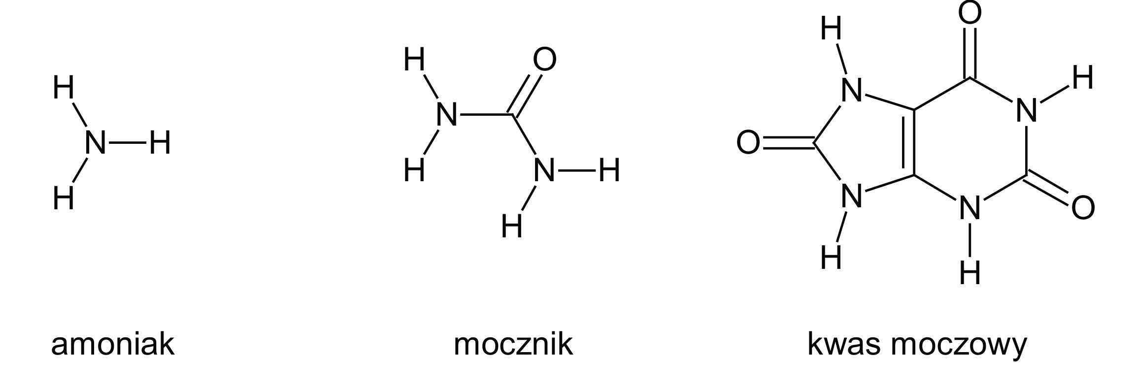 Struktury chemiczne amoniaku (NH3), mocznika (CO(NH2)2) i kwasu moczowego, przedstawionego jako złożona cząsteczka dwupierścieniowa.