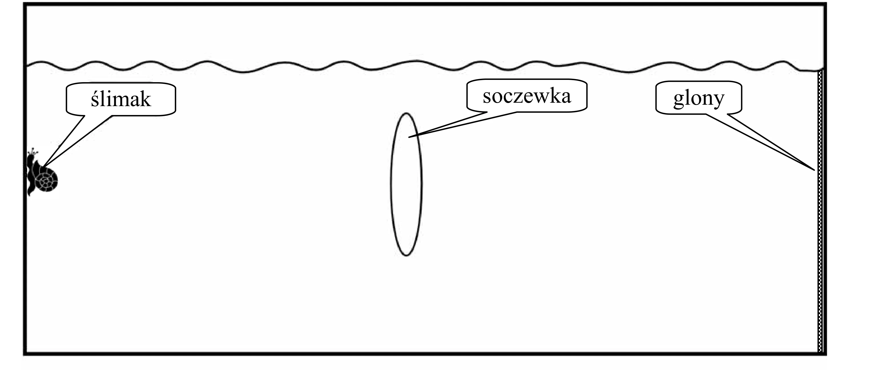 Rysunek 1 do zadania