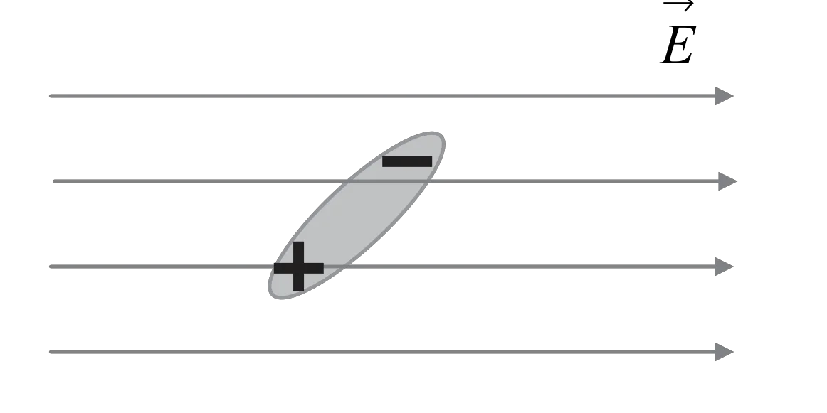 Rysunek 1 do zadania