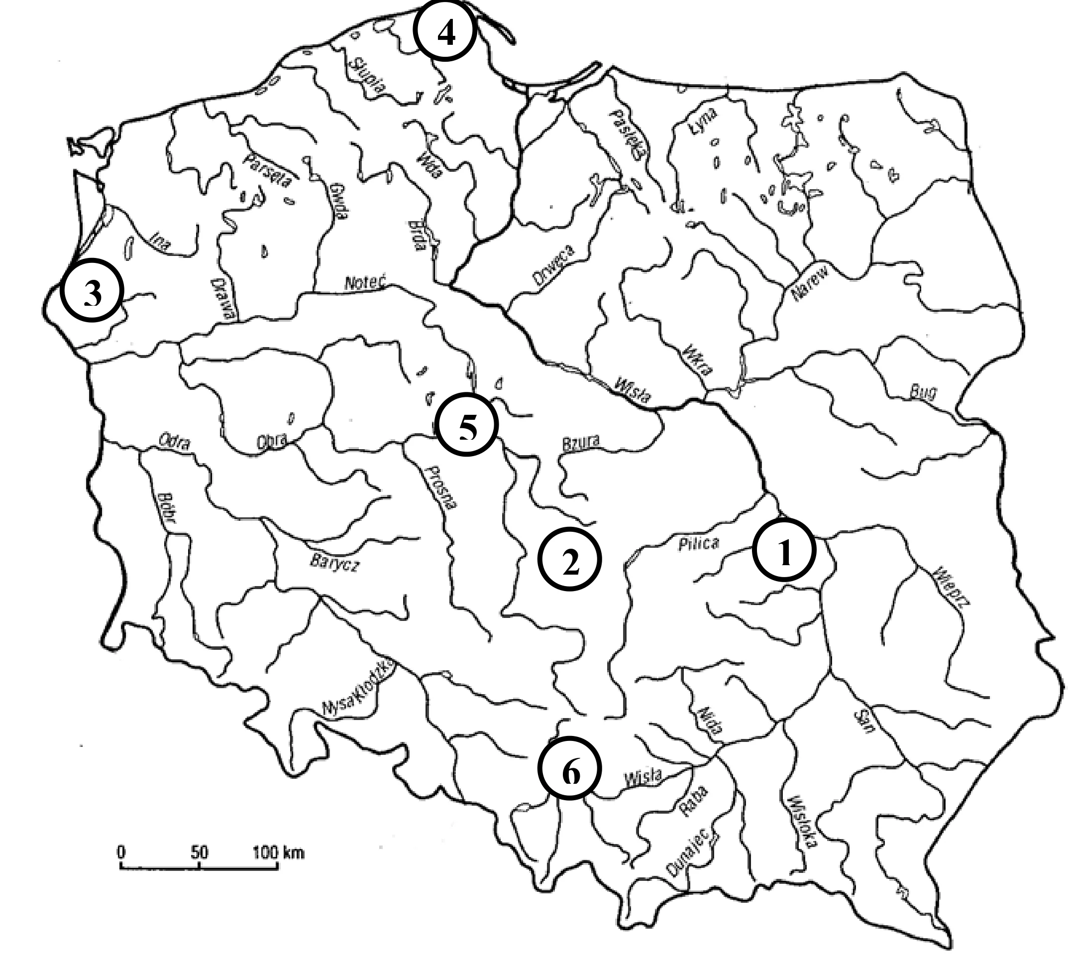 Rysunek 1 do zadania