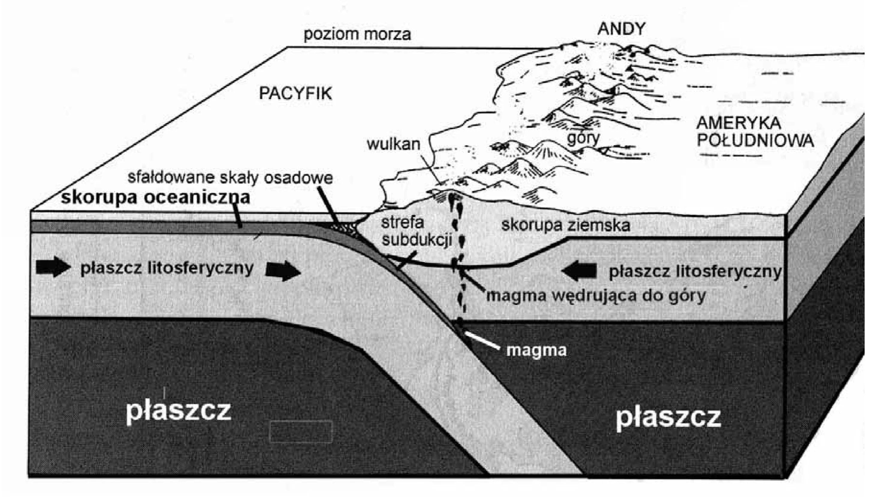 Rysunek 1 do zadania