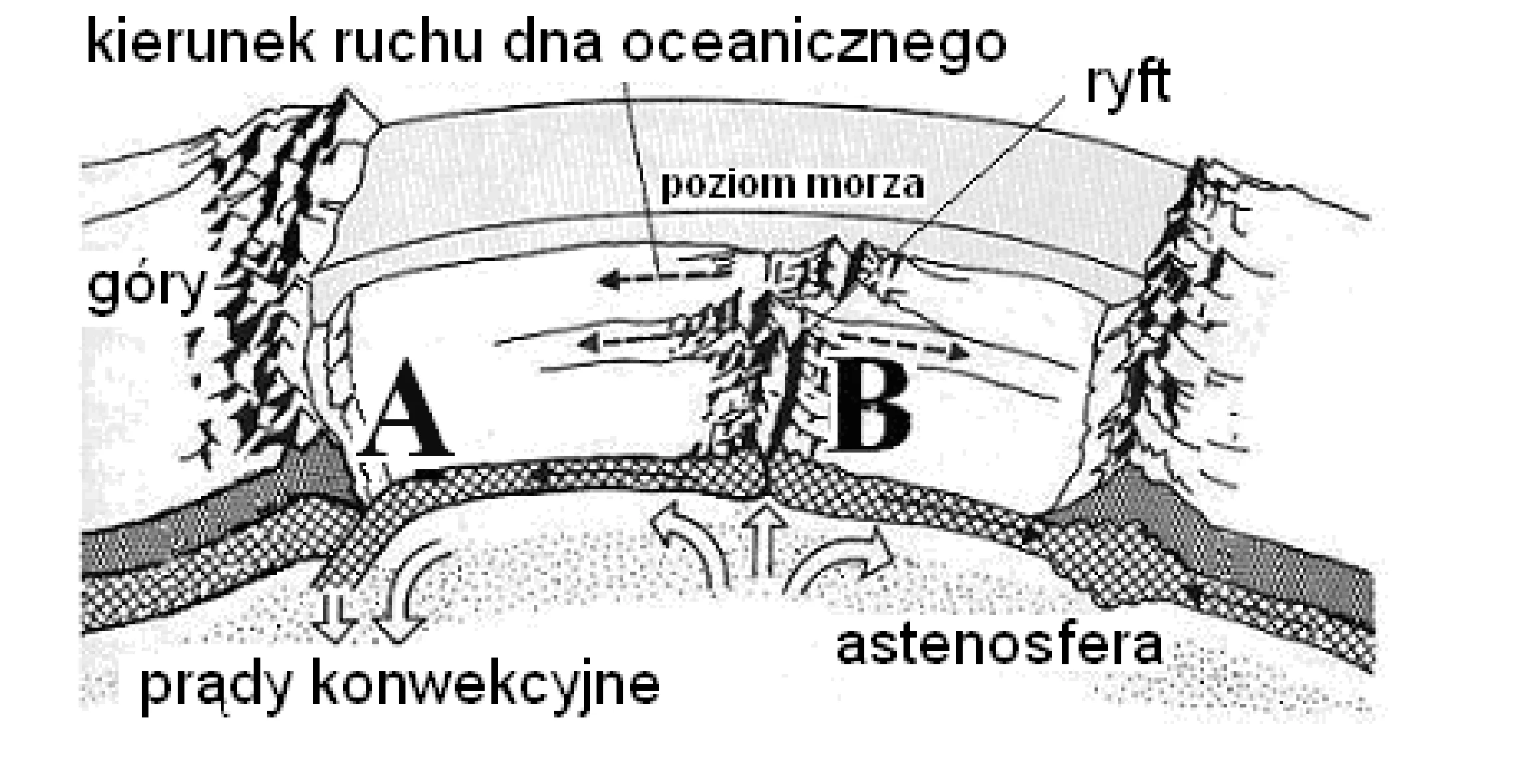 Rysunek 1 do zadania