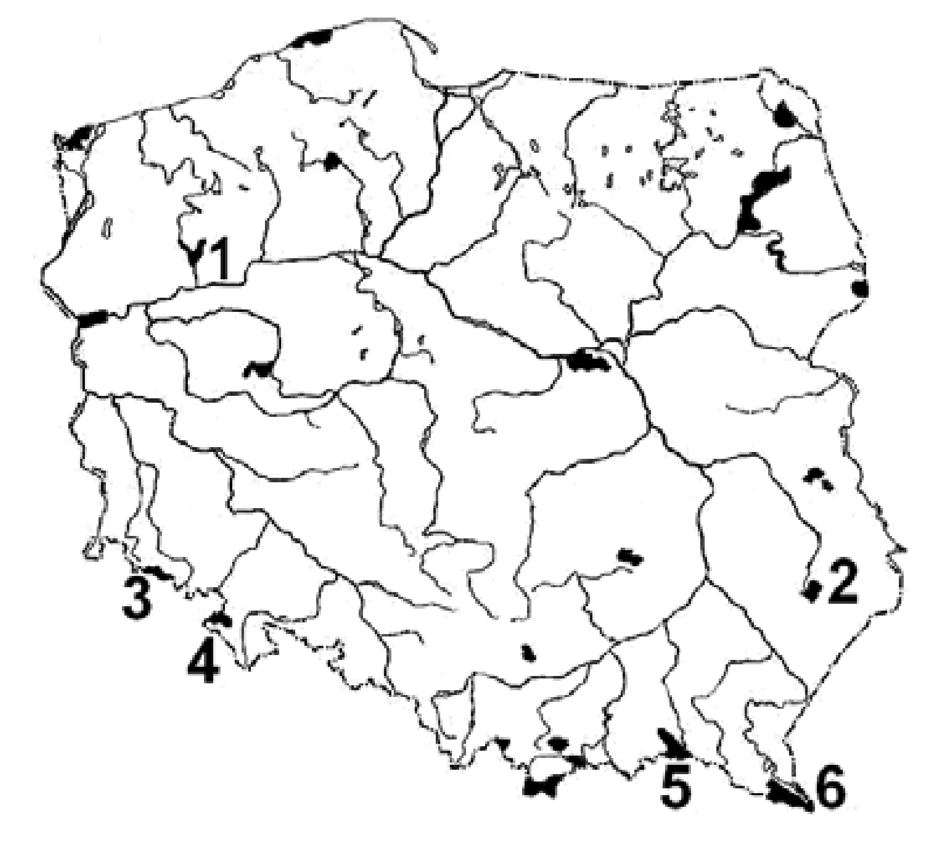 Rysunek 1 do zadania