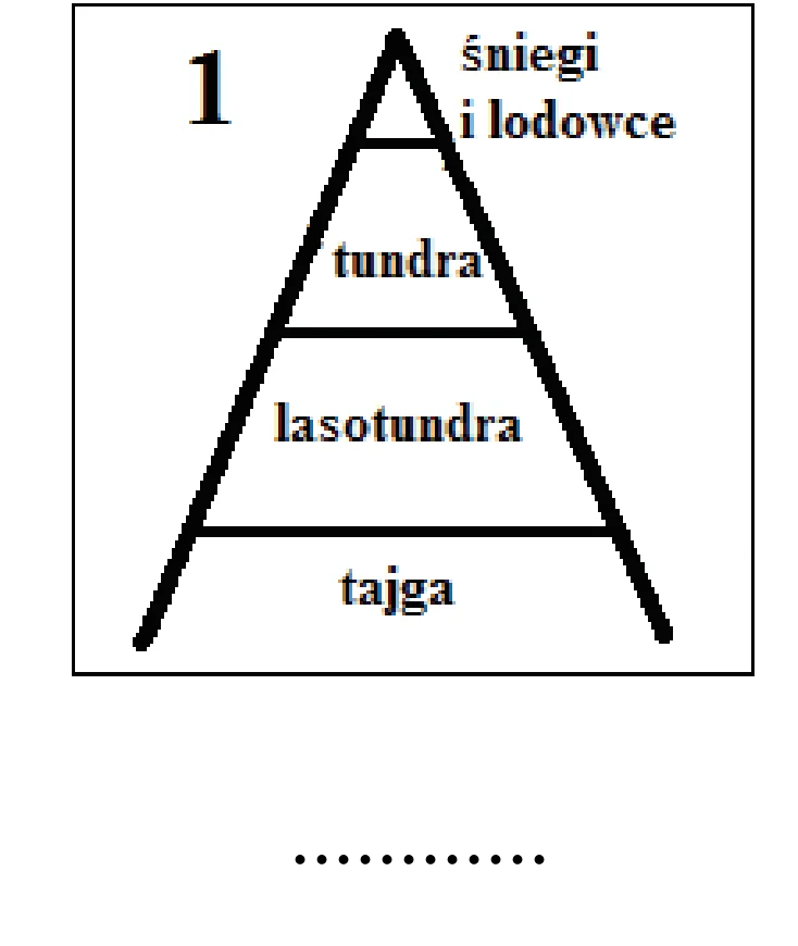Rysunek 1 do zadania