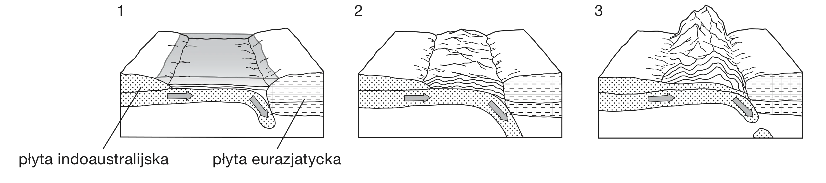 Rysunek 1 do zadania