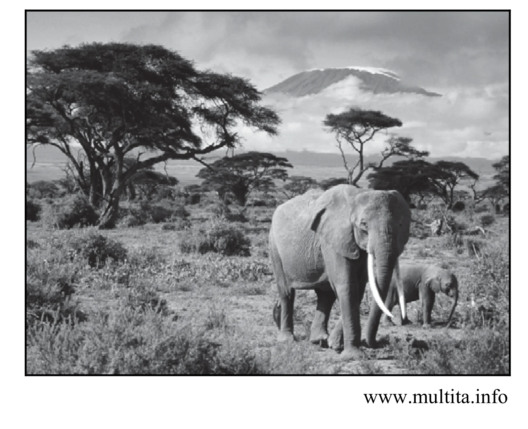 Rysunek 1 do zadania