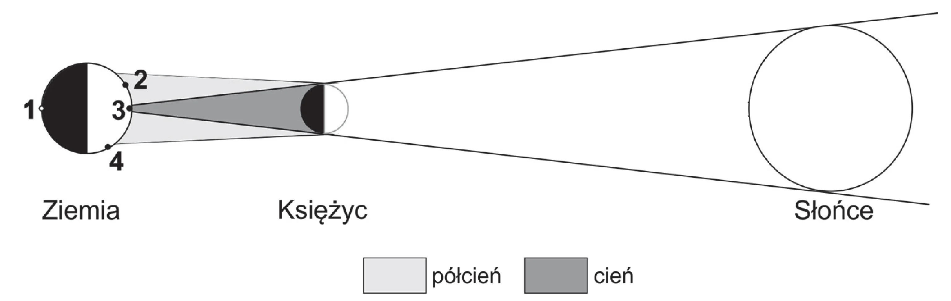 Rysunek 1 do zadania