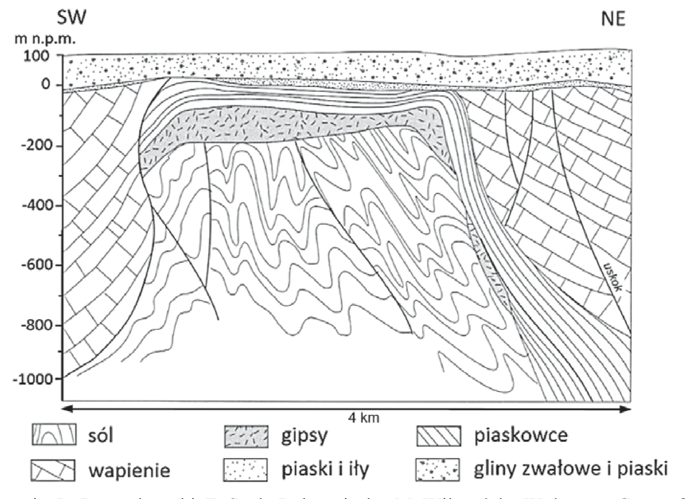 Przekrój geologiczny ukazuje wysad solny z pionową skalą głębokości od 100 metrów do -1000 metrów i poziomą skalą 4 kilometrów. Centralny, grzybkowaty słup soli, rozciągający się od około -100 do -1000 metrów głębokości, otoczony jest warstwami gipsów, piaskowców i wapieni, z widocznym uskokiem po prawej stronie.