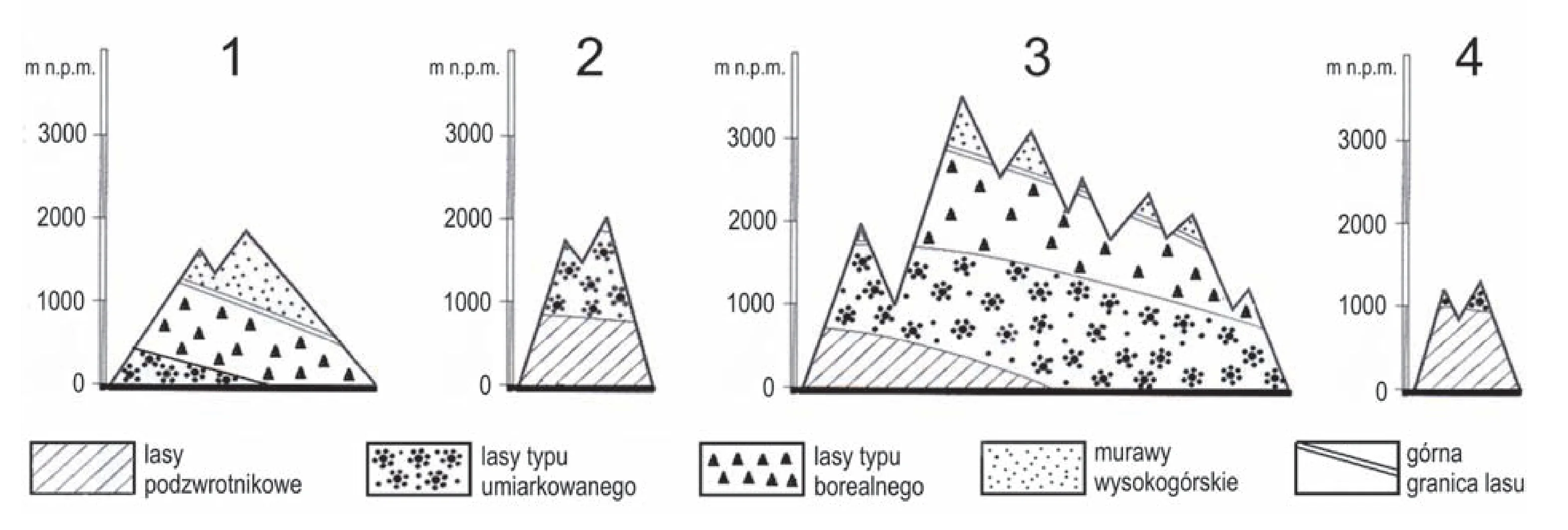 Cztery diagramy przedstawiające pionowe profile piętrowego układu roślinności na górach, z osią wysokości od 0 do 3000 m n.p.m. Legenda wyjaśnia warstwy: lasy podzwrotnikowe, umiarkowane, borealne, murawy wysokogórskie i górna granica lasu.